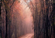 男子长期被职场PUA就诊时抱医生大哭