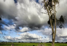 男子长期被职场PUA就诊时抱医生大哭