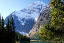 《一文读懂天涯社区房地产预言'} 5年前，一个帖子火了，人们说房价要崩，结果，时间证明了一切！