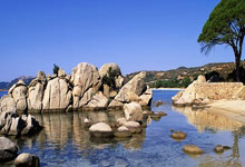 男子长期被职场PUA就诊时抱医生大哭